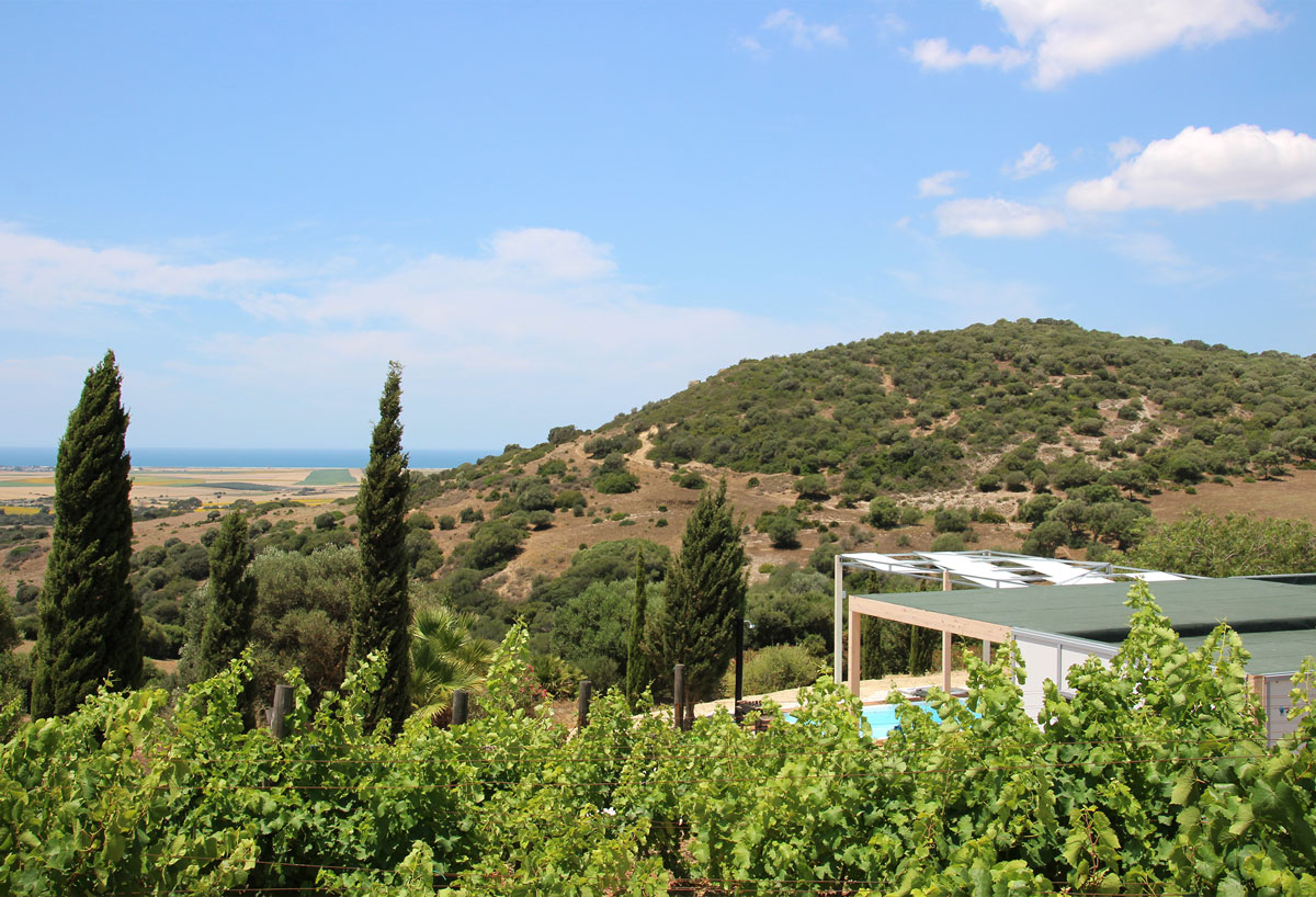 Casa de Vino